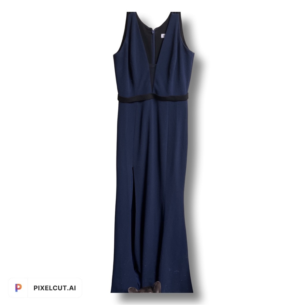 Dress the Population Maxi Dress - Picture 1 of 4